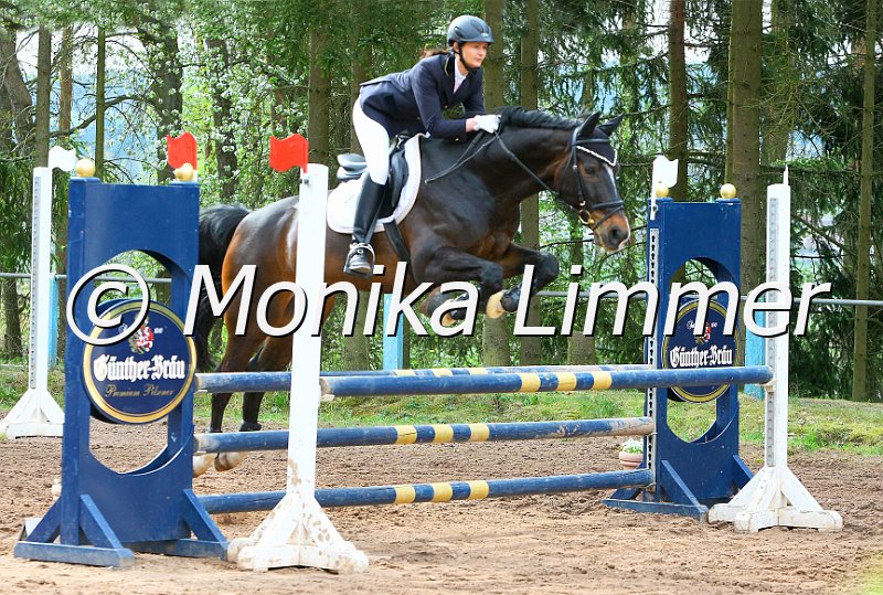 204M9110_Diamant_Stil Ax_e.JPG